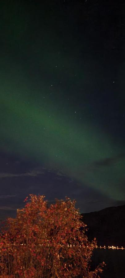 Aurora Dream Lägenhet Svensby Exteriör bild