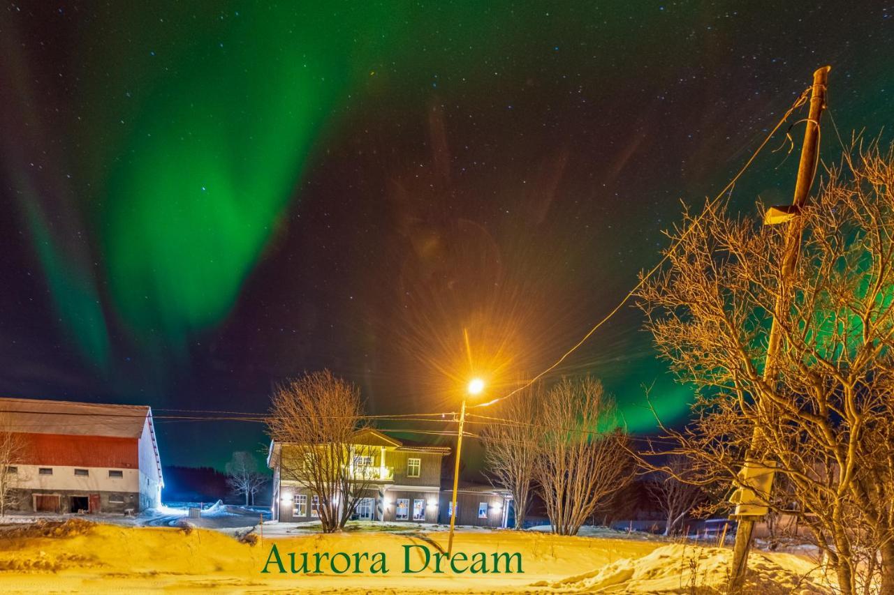 Aurora Dream Lägenhet Svensby Exteriör bild